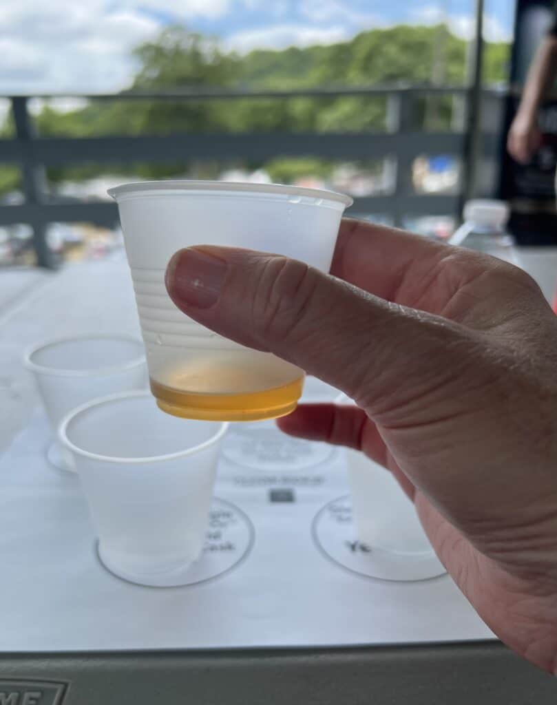 A hand holds a plastic cup with a small amount of whisky in it.